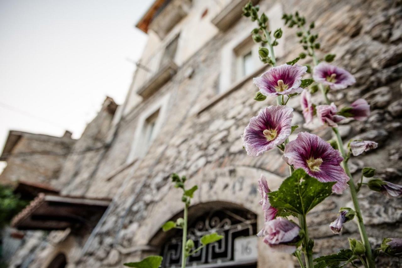 Lavistadeisogni Muranuove Celano Exterior photo